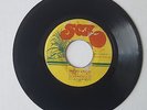 GLEN RICKETTS - ONE MAN BAND // DOES IT REALLY MATTER / [ S C R ]