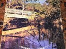 RIVER SAINT s/t PRIVATE RURAL ROCK TAX SCAM album world ACID ARCHIVES listen