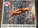 The Stone Roses-What The World Is Waiting For 12 Inch