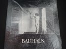 Bauhaus 
