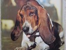 DUFFY - JUST IN CASE YOU'RE INTERESTED ( SCRUFFY DUFFY ) ORIG ARIOLA G/F PROG