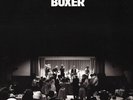 The National - Boxer (Yellow Vinyl LP)