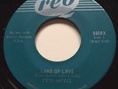 NORTHERN SOUL Pete Antell LAND OF LOVE Reo 45 rare Canadian pressing