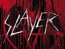 Vinyl Conflict (Box) [VINYL] Slayer Vinyl