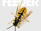 FEEDER 'ALL BRIGHT ELECTRIC' Ltd Coloured Double VINYL LP + Download (2016)