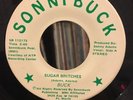 SUGAR BRITCHES 45 Sonny / Buck RARE TEXAS PRIVATE MODERN SWEET SOUL FUNK