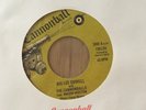 BIG LEE DOWELL   What I Done Wrong   Cannonball M- modern soul northern