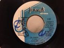 TONTO IRIE/IT A RING JAMMY'S DANCEHALL 45 TENPO RIDDIM