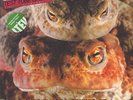 PETER & THE TEST TUBE BABIES The Mating Sounds.. 2015 Green Vinyl 2LP NEW/SEALED
