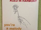 AGED IN HARMONY YOU'RE A MELODY LTD 3 7