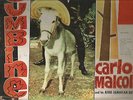 CARLOS MALCOLM and his AFRO JAMAICANS RHYTHMS -  RUCUMBINE                LP