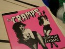 The Cramps smell of female single box