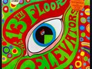 13TH FLOOR ELEVATORS THE PSYCHEDELIC SOUNDS OF THE 13TH FLOOR ELEVATORS SHRINK