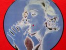 Madonna Picture Disc  Record 12