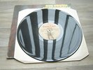 reggae LP roots dub BIG YOUTH Dreadlocks Dread locks tony robinson skin flesh bo