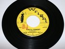 RARE GARAGE/ THE WANDERERS REST /