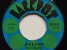 LITTLE BOY BLUE Dark End Of The Street / MR VERSATILE Apple Blossoms JACKPOT '69