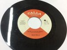Rare Northern Soul 45 Jean Wells 