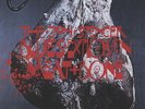 The Jon Spencer Blues Explosion - Meat & Bone [New Vinyl] Deluxe Edition, Digita