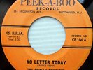 HONAN BROTHERS & SCHOONERS teen 45 NO LETTER TODAY DREAM AGAIN Everly bros. 9782