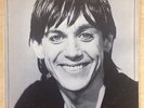 First edition Iggy Pop Lust for Life 1977 vinyl (RCA AFL1-2488 Stereo) VG+