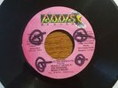 90's Digital Roots Dub - Adwa March - Restless Mashites 7