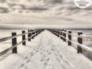 Summer Into Winter/North Marine Drive  BEN WATT & ROBERT WYATT Vinyl Rec