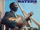 Muddy Waters-At Newport 1960  Vinyl / 12