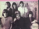 JEFFERSON AIRPLANE  SURREALISTIC PILLOW  ORIG 1st US MONO VG+-N/M 1967 LPM-3766