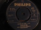 MADELINE BELL : PICTURE ME GONE