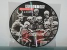 ROLLING STONES - LP Vinyl Voodoo lounge alternate - PICTURE DISC - NEW.