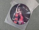 Kate Bush Picture Disc vinyl
