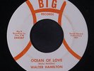WALTER HAMILTON: Ocean Of Love / Searching 45 (faint label wear, Deep Soul flip