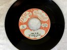 Very Rare The Hollins a GO-GOS, Pink Cloud Records 334, R&B, Soul, Northern Soul