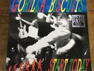 Gorilla Biscuits Start Today Silver Anniversary Edition LTD 1000 NYHC