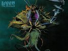 Ween - Mollusk