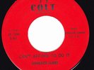 Blues Rocker 45 - HOMESICK JAMES - Can't Afford To Do It / Set A Date