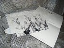Status Quo Signed Photo -, Music  REAL  Autograph,