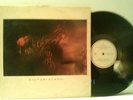 COCTEAU TWINS usa LP VICTORIALAND rock NA EX EX 33 rpm vinyl record RARE