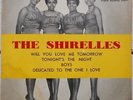 THE  SHIRELLES