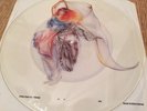 Fish - Marillion - A Gentlemans Excuse Me - Uncut shaped picture disc 7