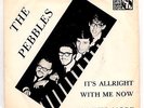 THE PEBBLES-GREAT POUNDING 1966 BELGIUM  GARAGE BEAT (Swedish release) -PS