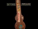 ALLMAN,DUANE-SKYDOG: DUANE ALLMAN RETROSPECTIVE (LTD) (OGV)  VINYL LP NEUF