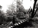 Timber Timbre (Black Vinyl+MP3) - Vinyl LP Full Time NEW
