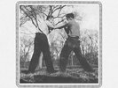 Car Seat Headrest - Teens Of Denial [Vinyl New]