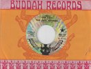 ORIGINAL FUNK  45-THE SOUL ROCKERS-SOUL FOR SALE-BUDDAH-DJ
