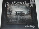 Black Stone Cherry Kentucky LP LTD * White * Vinyl NEW 2016 12 Track LP + D/Load