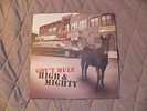 Gov't Mule High & Mighty LP