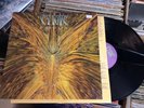CYNIC - FOCUS vinyl LP roadrunner records CYN-001 NM