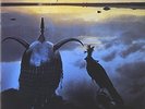 ROXY MUSIC - AVALON - NEW VINYL LP